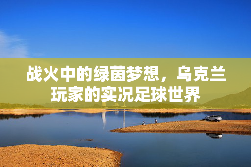 战火中的绿茵梦想，乌克兰玩家的实况足球世界
