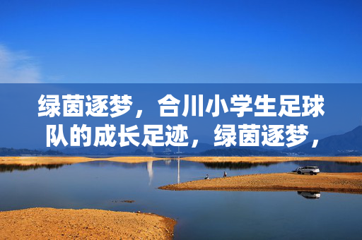 绿茵逐梦，合川小学生足球队的成长足迹，绿茵逐梦，合川小学生足球队的成长足迹