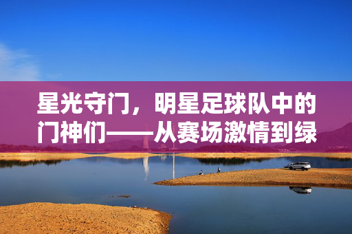 星光守门，明星足球队中的门神们——从赛场激情到绿茵守护的传奇