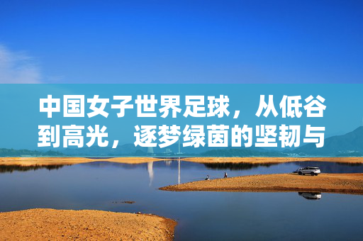 中国女子世界足球，从低谷到高光，逐梦绿茵的坚韧与荣光，中国女足，从低谷到高光，逐梦绿茵的坚韧与荣光