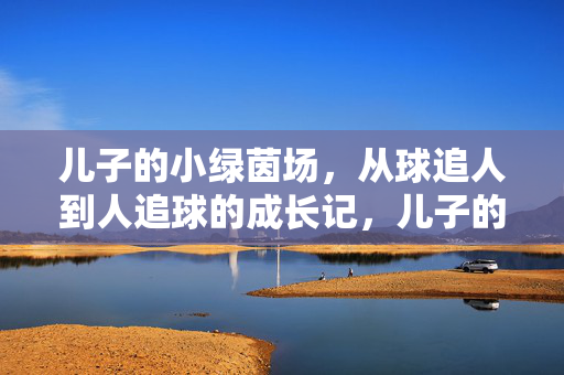 儿子的小绿茵场，从球追人到人追球的成长记，儿子的小绿茵场，从球追人到人追球的成长记