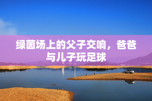 绿茵场上的父子交响，爸爸与儿子玩足球