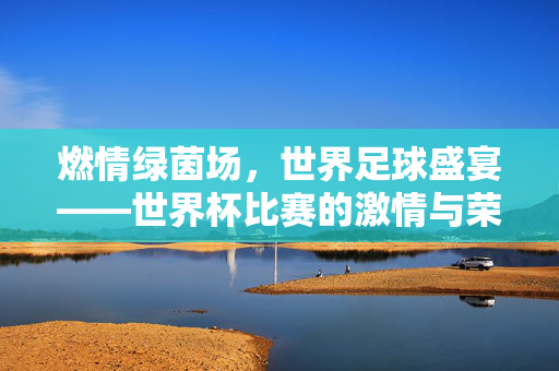 燃情绿茵场，世界足球盛宴——世界杯比赛的激情与荣耀