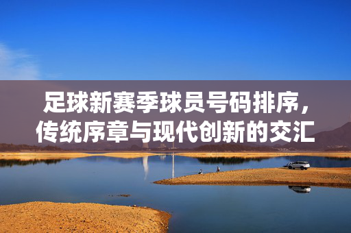 足球新赛季球员号码排序，传统序章与现代创新的交汇