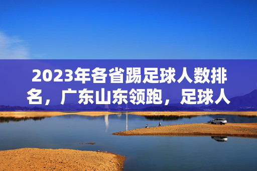2023年各省踢足球人数排名,广东山东领跑,足球人口分布反映区域发展特征