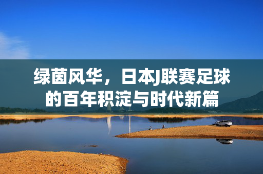 绿茵风华，日本J联赛足球的百年积淀与时代新篇