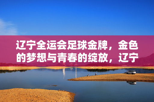 辽宁全运会足球金牌，金色的梦想与青春的绽放，辽宁全运会足球金牌，金色的梦想与青春的绽放