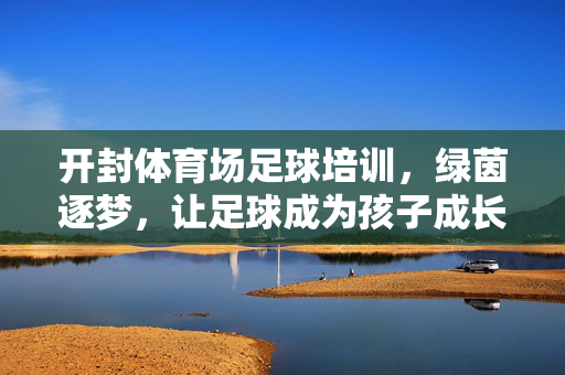 开封体育场足球培训，绿茵逐梦，让足球成为孩子成长的动力引擎