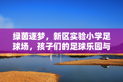 绿茵逐梦，新区实验小学足球场，孩子们的足球乐园与成长舞台，绿茵逐梦，新区实验小学足球场，孩子们的足球乐园与成长舞台