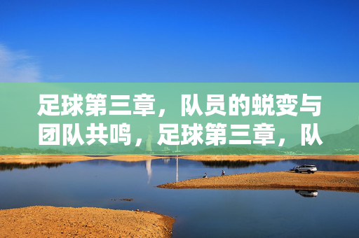 足球第三章，队员的蜕变与团队共鸣，足球第三章，队员的蜕变与团队共鸣