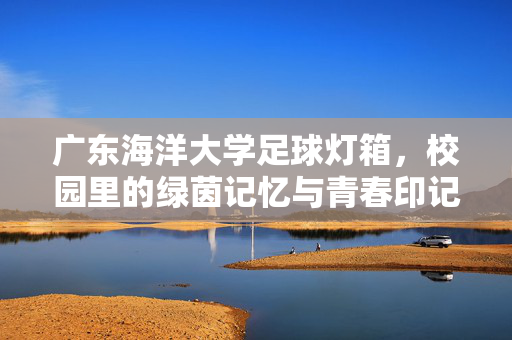 广东海洋大学足球灯箱，校园里的绿茵记忆与青春印记，广东海洋大学足球灯箱，校园里的绿茵记忆与青春印记
