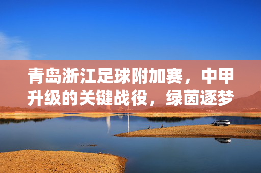 青岛浙江足球附加赛，中甲升级的关键战役，绿茵逐梦的二次机会