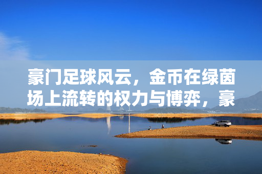 豪门足球风云，金币在绿茵场上流转的权力与博弈，豪门足球风云，金币在绿茵场上流转的权力与博弈