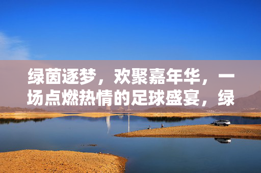 绿茵逐梦，欢聚嘉年华，一场点燃热情的足球盛宴，绿茵逐梦，欢聚嘉年华，一场点燃热情的足球盛宴