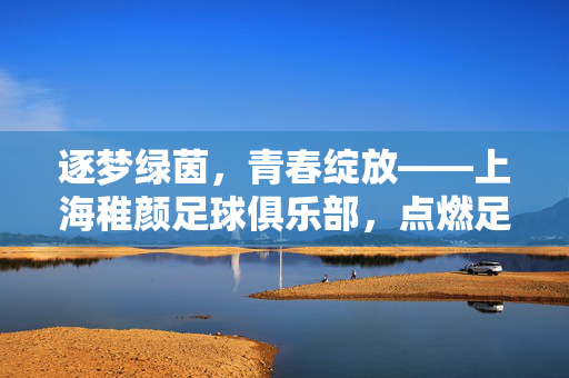 逐梦绿茵，青春绽放——上海稚颜足球俱乐部，点燃足球热爱的青春引擎，逐梦绿茵，青春绽放——上海稚颜足球俱乐部，点燃足球热爱的青春引擎