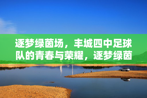 逐梦绿茵场，丰城四中足球队的青春与荣耀，逐梦绿茵场，丰城四中足球队的青春与荣耀