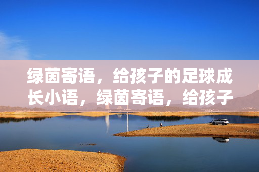 绿茵寄语，给孩子的足球成长小语，绿茵寄语，给孩子的足球成长小语