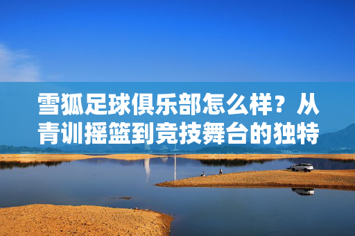 雪狐足球俱乐部怎么样？从青训摇篮到竞技舞台的独特探索与成长轨迹，雪狐足球俱乐部，从青训摇篮到竞技舞台的独特成长轨迹