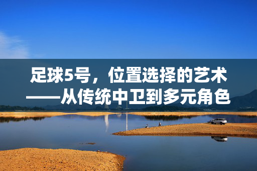 足球5号，位置选择的艺术——从传统中卫到多元角色的能力适配与战术价值，足球5号，位置选择的艺术——从传统中卫到多元角色的能力适配与战术价值