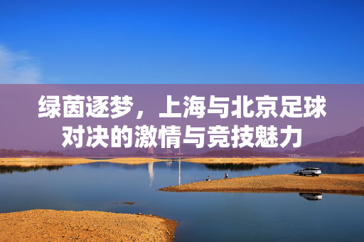 绿茵逐梦，上海与北京足球对决的激情与竞技魅力