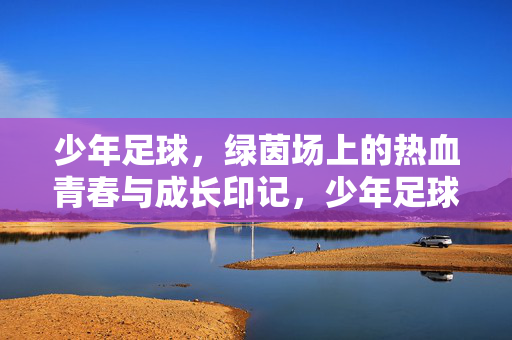 少年足球，绿茵场上的热血青春与成长印记，少年足球，绿茵场上的热血青春与成长印记