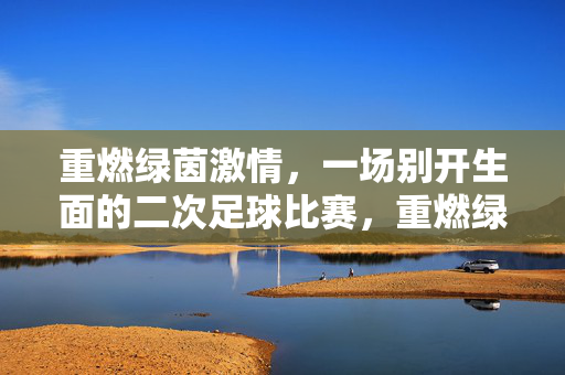重燃绿茵激情，一场别开生面的二次足球比赛，重燃绿茵激情，一场别开生面的二次足球比赛