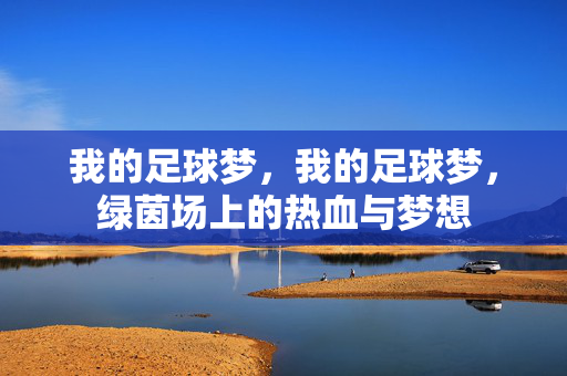 我的足球梦，我的足球梦，绿茵场上的热血与梦想