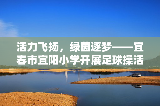 活力飞扬，绿茵逐梦——宜春市宜阳小学开展足球操活动纪实