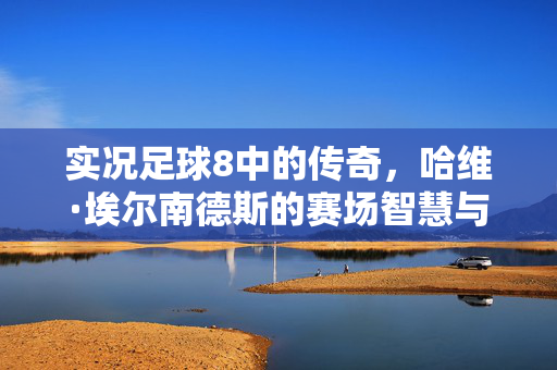 实况足球8中的传奇，哈维·埃尔南德斯的赛场智慧与战术价值，实况足球8传奇，哈维·埃尔南德斯的赛场智慧与战术价值