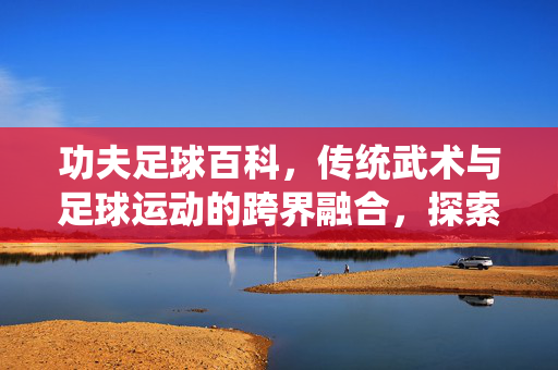 功夫足球百科，传统武术与足球运动的跨界融合，探索足球中的武术韵味与技艺传承，功夫足球百科，传统武术与足球的跨界融合，探索足球中的武术韵味与技艺传承