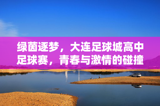 绿茵逐梦，大连足球城高中足球赛，青春与激情的碰撞，绿茵逐梦，大连足球城高中足球赛，青春与激情的碰撞