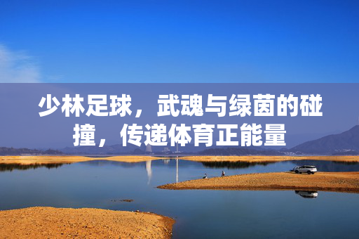 少林足球，武魂与绿茵的碰撞，传递体育正能量