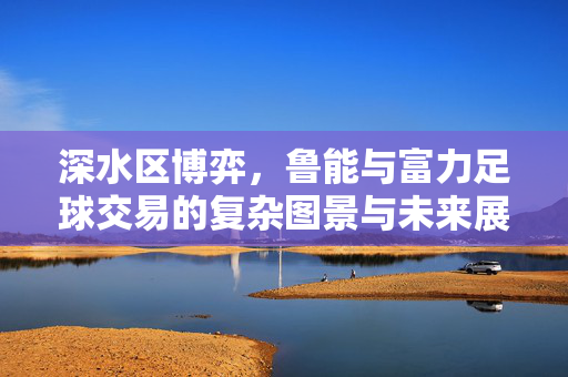 深水区博弈，鲁能与富力足球交易的复杂图景与未来展望，深水区博弈，鲁能与富力足球交易的复杂图景与未来展望