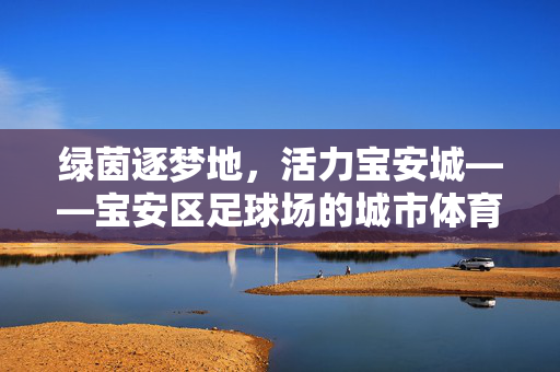 绿茵逐梦地，活力宝安城——宝安区足球场的城市体育名片