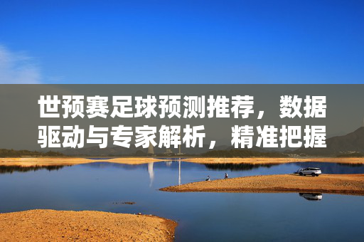世预赛足球预测推荐，数据驱动与专家解析，精准把握比赛走向，世预赛足球预测推荐，数据驱动与专家解析，精准把握比赛走向