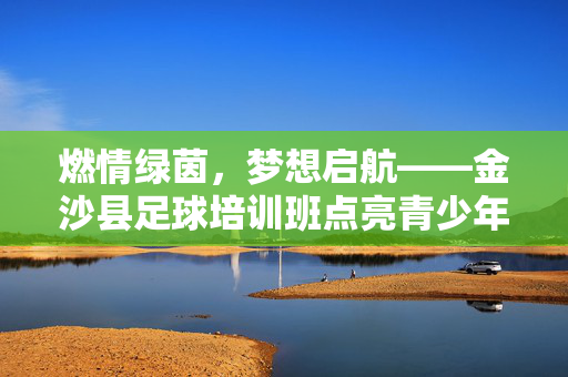 燃情绿茵，梦想启航——金沙县足球培训班点亮青少年足球梦，燃情绿茵，梦想启航——金沙县足球培训班点亮青少年足球梦