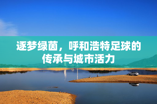逐梦绿茵，呼和浩特足球的传承与城市活力