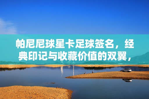 帕尼尼球星卡足球签名，经典印记与收藏价值的双翼，帕尼尼球星卡足球签名，经典印记与收藏价值的双翼