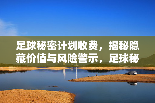 足球秘密计划收费，揭秘隐藏价值与风险警示，足球秘密计划收费，揭秘隐藏价值与风险警示