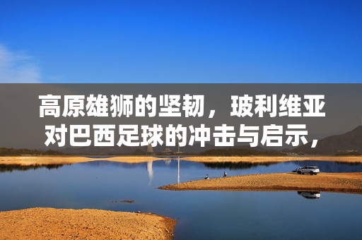 高原雄狮的坚韧，玻利维亚对巴西足球的冲击与启示，高原雄狮的坚韧，玻利维亚对巴西足球的冲击与启示