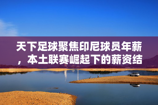 天下足球聚焦印尼球员年薪，本土联赛崛起下的薪资结构变革与挑战，天下足球聚焦印尼球员年薪，本土联赛崛起下的薪资结构变革与挑战
