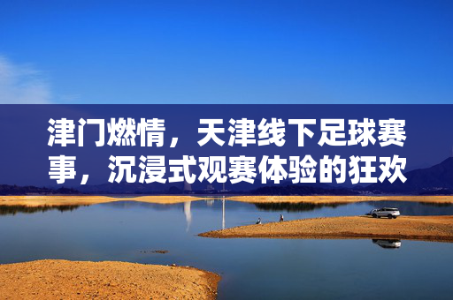 津门燃情，天津线下足球赛事，沉浸式观赛体验的狂欢，津门燃情，天津线下足球赛事，沉浸式观赛体验的狂欢