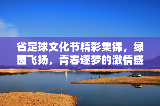 省足球文化节精彩集锦，绿茵飞扬，青春逐梦的激情盛宴，省足球文化节精彩集锦，绿茵飞扬，青春逐梦的激情盛宴