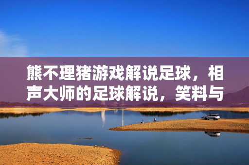 熊不理猪游戏解说足球，相声大师的足球解说，笑料与激情的奇妙融合，熊不理相声大师的足球解说，笑料与激情的奇妙融合
