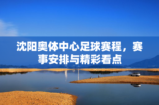 沈阳奥体中心足球赛程，赛事安排与精彩看点