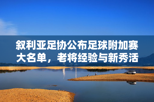 叙利亚足协公布足球附加赛大名单，老将经验与新秀活力并重，全力备战关键晋级战，叙利亚足协公布足球附加赛大名单，老将经验与新秀活力并重，全力备战关键晋级战