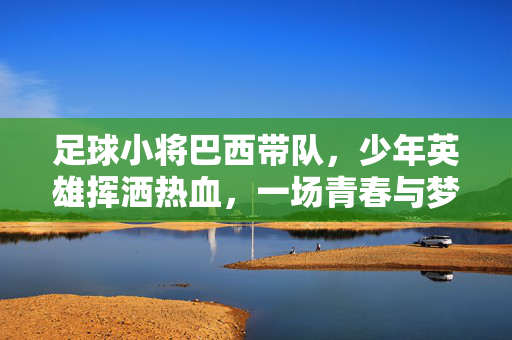 足球小将巴西带队，少年英雄挥洒热血，一场青春与梦想的巴西对日本对决，足球小将，巴西少年英雄热血逐梦，与日本队展开青春对决