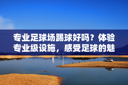 专业足球场踢球好吗？体验专业级设施，感受足球的魅力与挑战，专业足球场踢球体验，专业级设施下的魅力与挑战