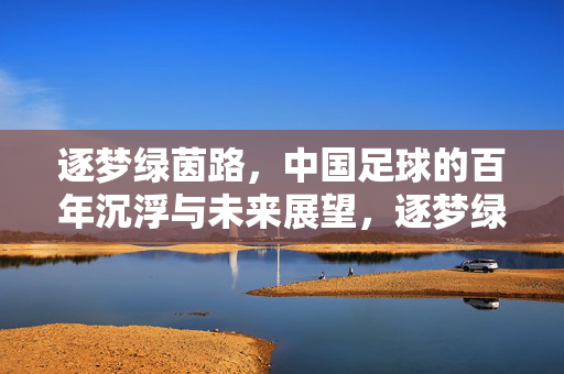 逐梦绿茵路，中国足球的百年沉浮与未来展望，逐梦绿茵路，中国足球的百年沉浮与未来展望