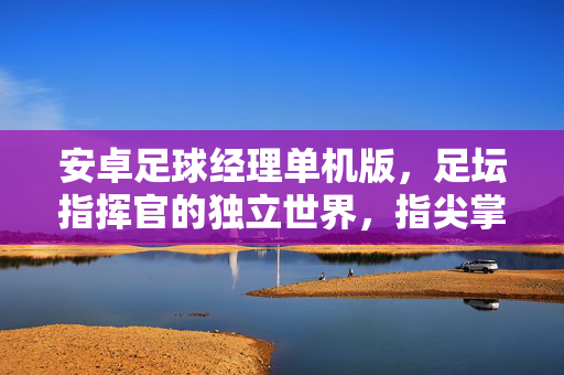 安卓足球经理单机版，足坛指挥官的独立世界，指尖掌控的绿茵传奇，安卓足球经理单机版，足坛指挥官的独立世界，指尖掌控的绿茵传奇